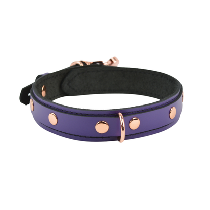 Purple Leather Day & Play Collar - USA