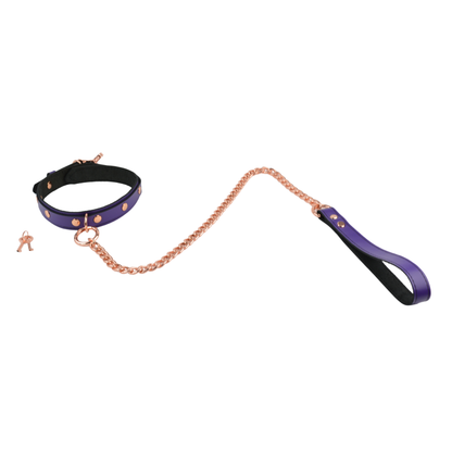 Purple Leather Day & Play Collar - USA