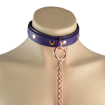 Purple Leather Day & Play Collar - USA